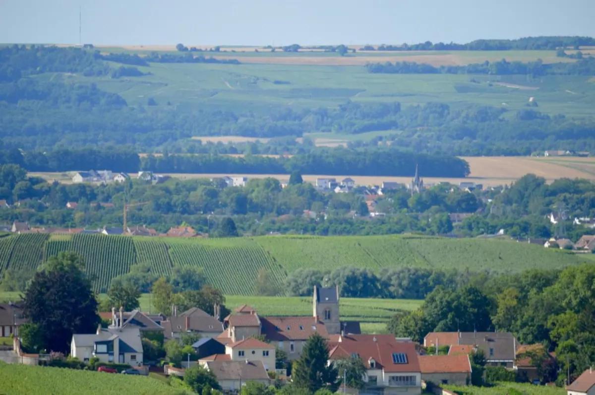 Pargny-les-Reims Agreable Maison Petit Jardin A 7 Minutes De Reims מראה חיצוני תמונה