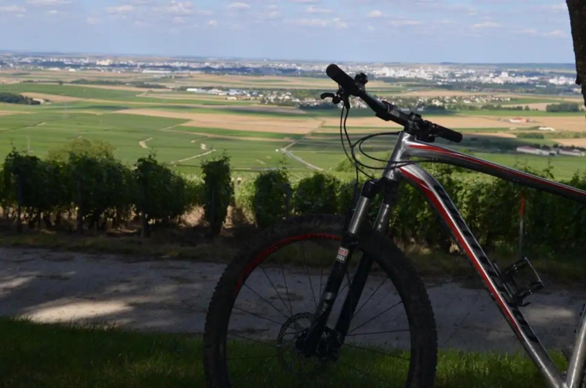 Pargny-les-Reims Agreable Maison Petit Jardin A 7 Minutes De Reims מראה חיצוני תמונה